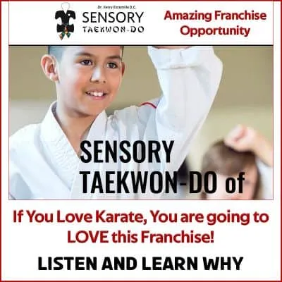 Young boy practicing Taekwondo in a martial arts class.